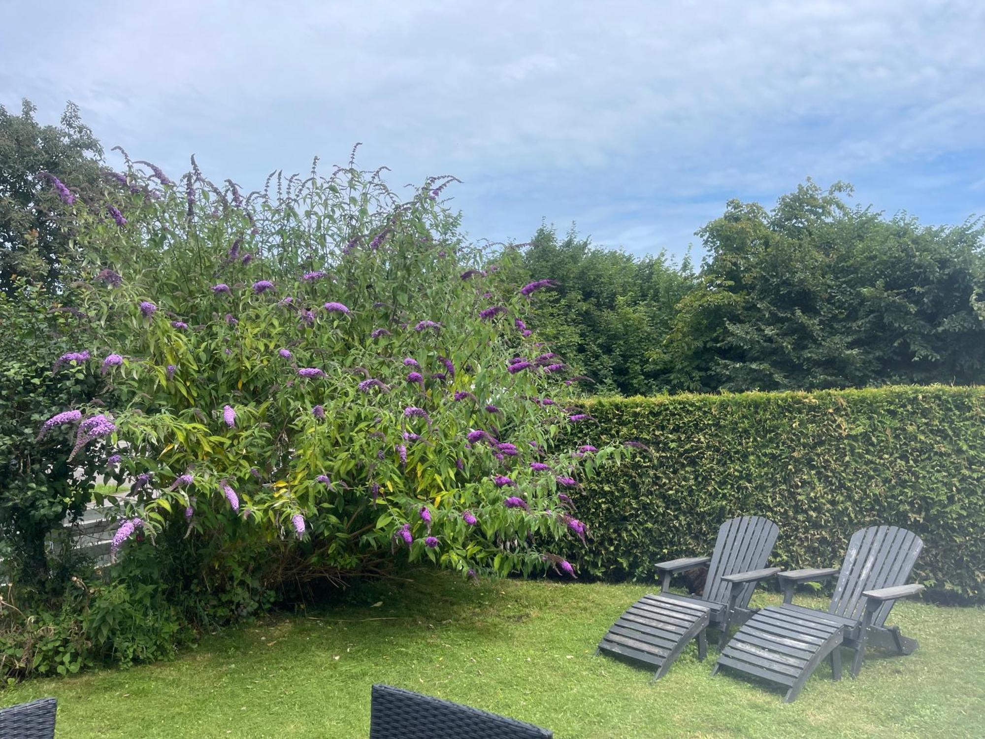 Heidis Residence-Sandkaas, Bornholm Allinge-Sandvig Zewnętrze zdjęcie